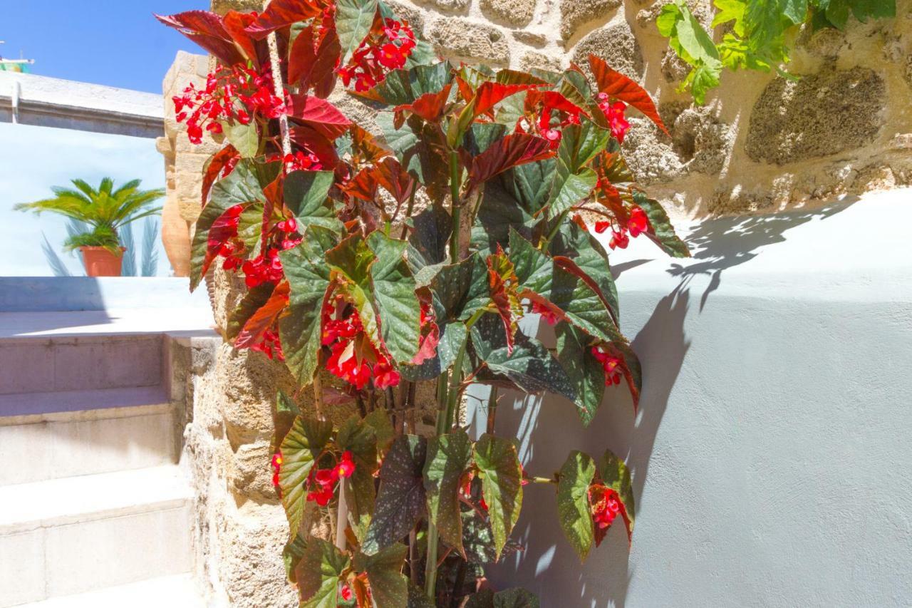 Colours - Old Town - Studios Rhodes City Exterior photo